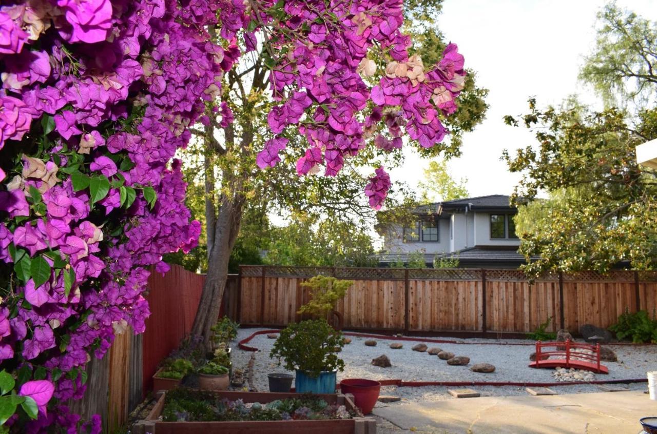 Palo Alto Quiet 1 Bedroom Stanford University Luaran gambar